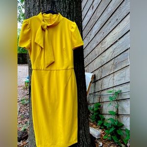 Maggy London Business Dress